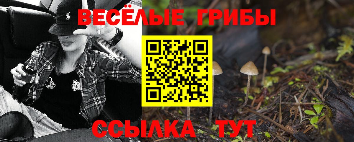 Псилоцибиновые грибы GOLDEN TEACHER  Вход с VPN  Сердобск 